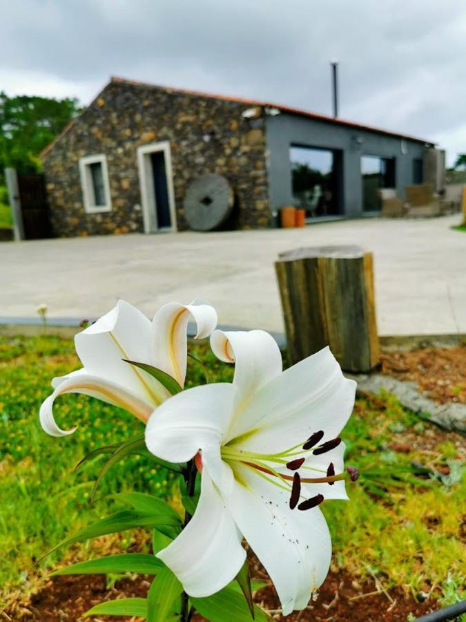 Quinta De Sao Jose Villa Sao Pedro  Exterior foto