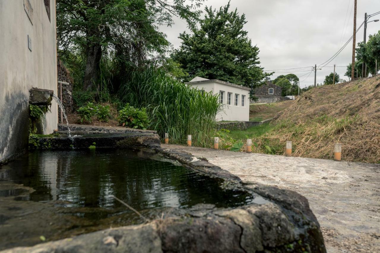 Quinta De Sao Jose Villa Sao Pedro  Exterior foto